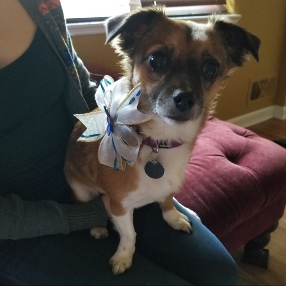 Meet your Posher, Kat - Picture 2 of 6